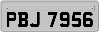 PBJ7956