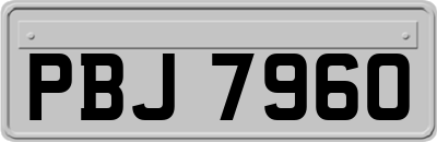 PBJ7960