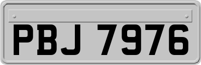 PBJ7976