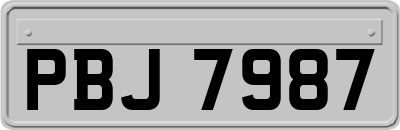 PBJ7987