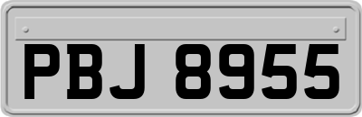 PBJ8955