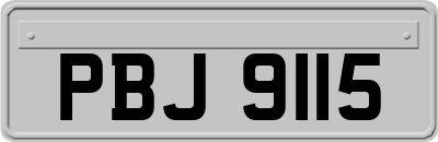 PBJ9115