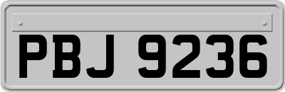 PBJ9236