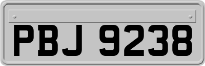 PBJ9238