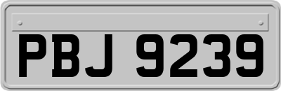 PBJ9239