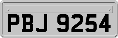 PBJ9254