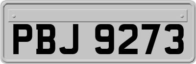 PBJ9273