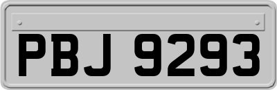 PBJ9293