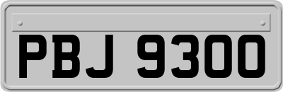 PBJ9300