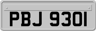 PBJ9301