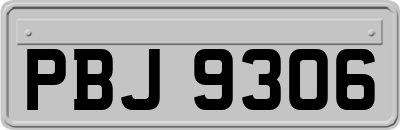 PBJ9306