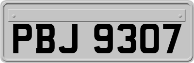 PBJ9307