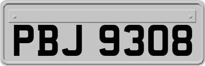 PBJ9308