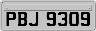 PBJ9309