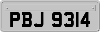 PBJ9314