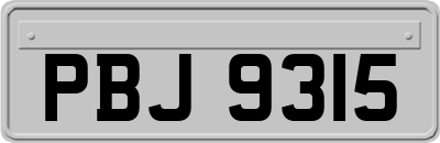 PBJ9315