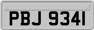 PBJ9341