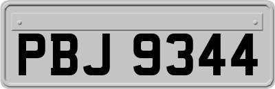 PBJ9344