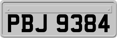 PBJ9384