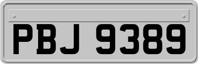 PBJ9389