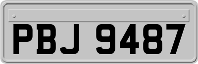 PBJ9487