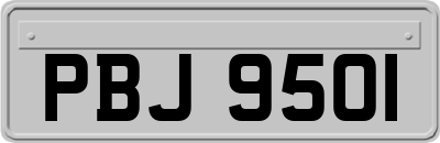 PBJ9501