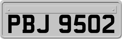 PBJ9502