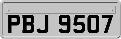 PBJ9507