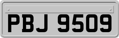 PBJ9509