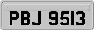 PBJ9513