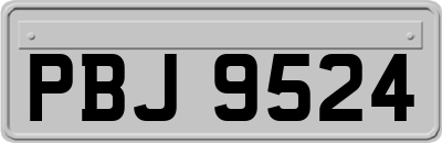 PBJ9524