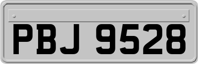 PBJ9528