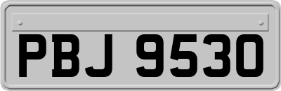 PBJ9530