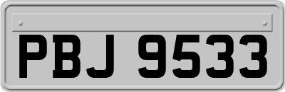 PBJ9533