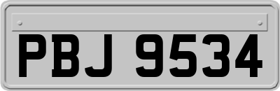 PBJ9534