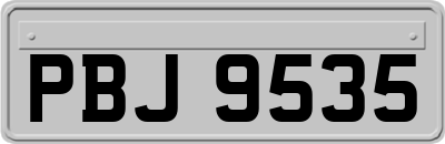 PBJ9535