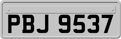 PBJ9537