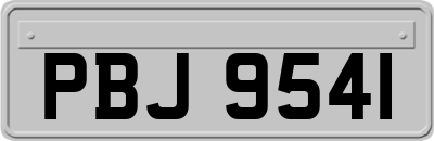 PBJ9541