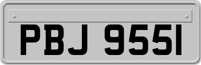 PBJ9551