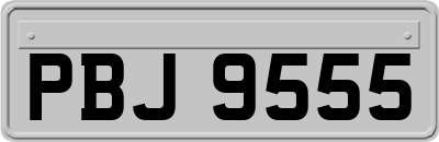 PBJ9555