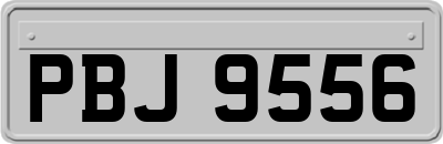 PBJ9556