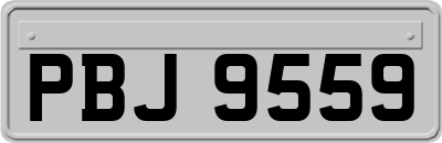 PBJ9559