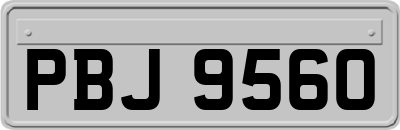 PBJ9560