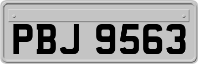 PBJ9563