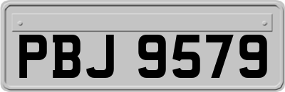 PBJ9579