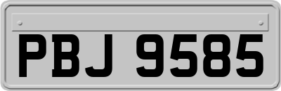 PBJ9585