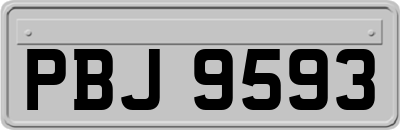 PBJ9593