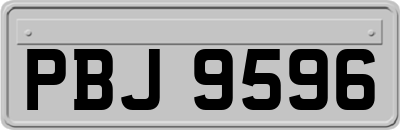 PBJ9596