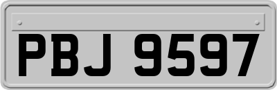 PBJ9597