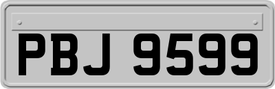 PBJ9599